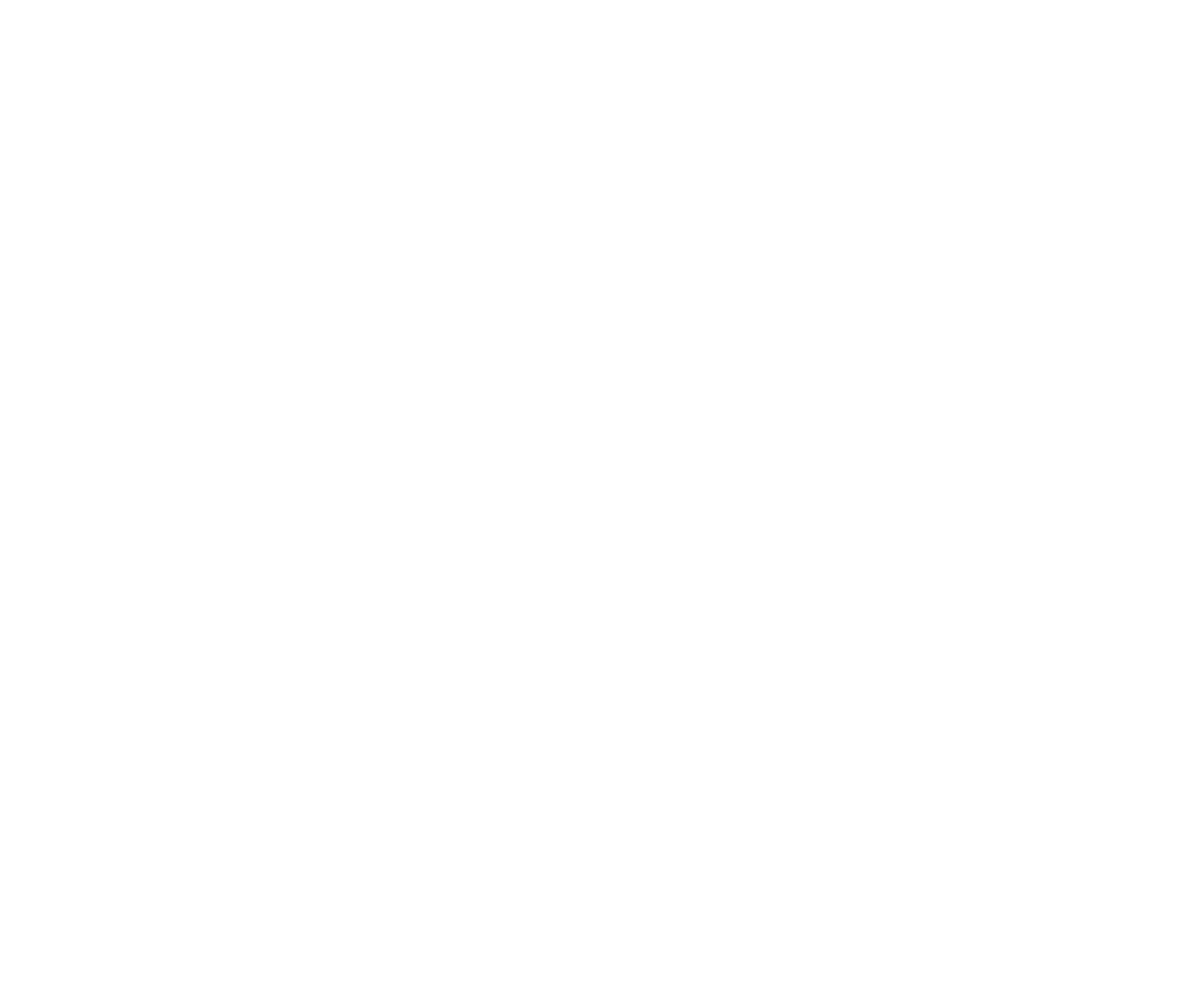 FC Logo